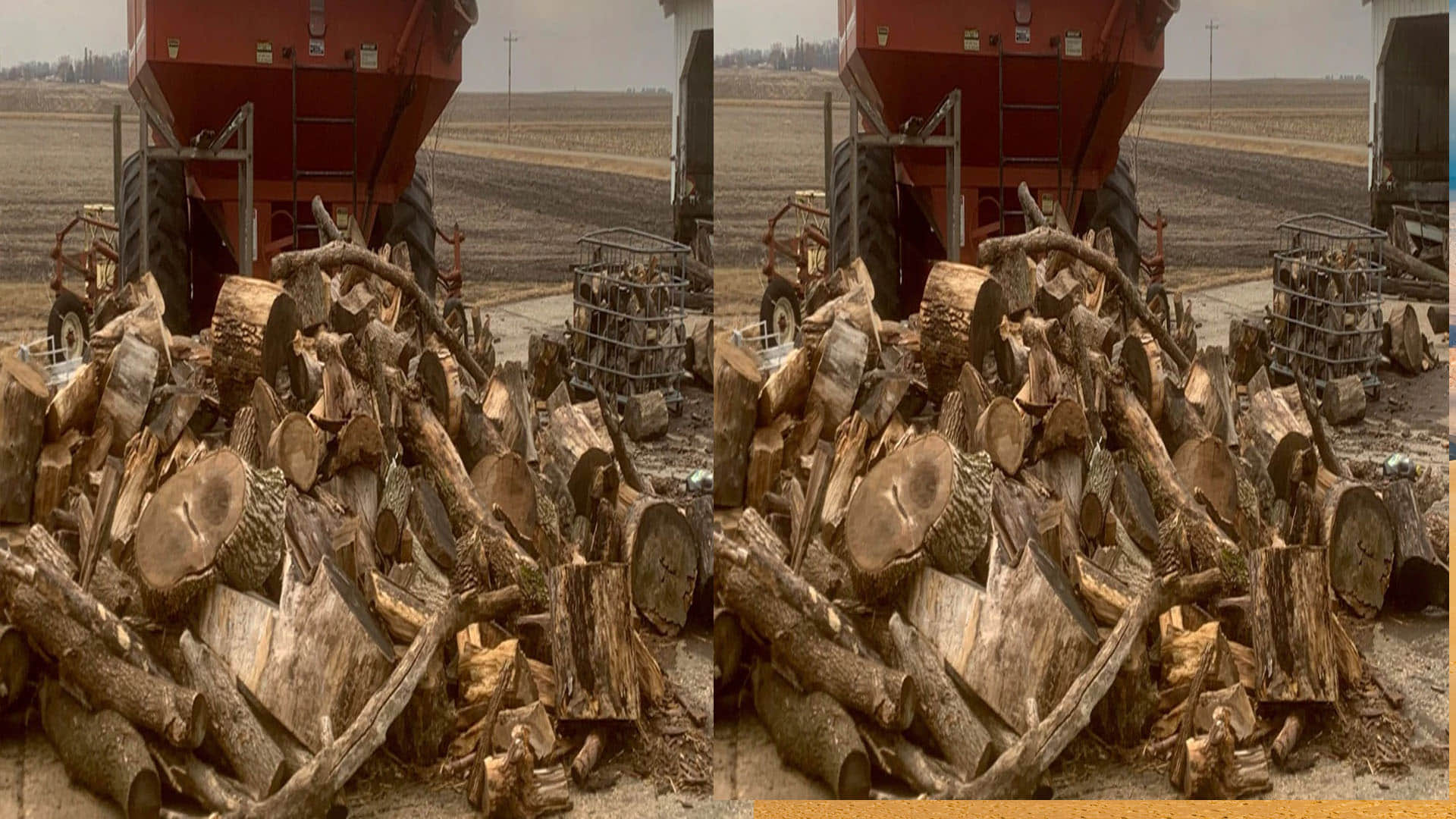 Optical Illusion Quiz With Answers Find Out Hidden Sitting Cat From Images Check Your Brain IQ