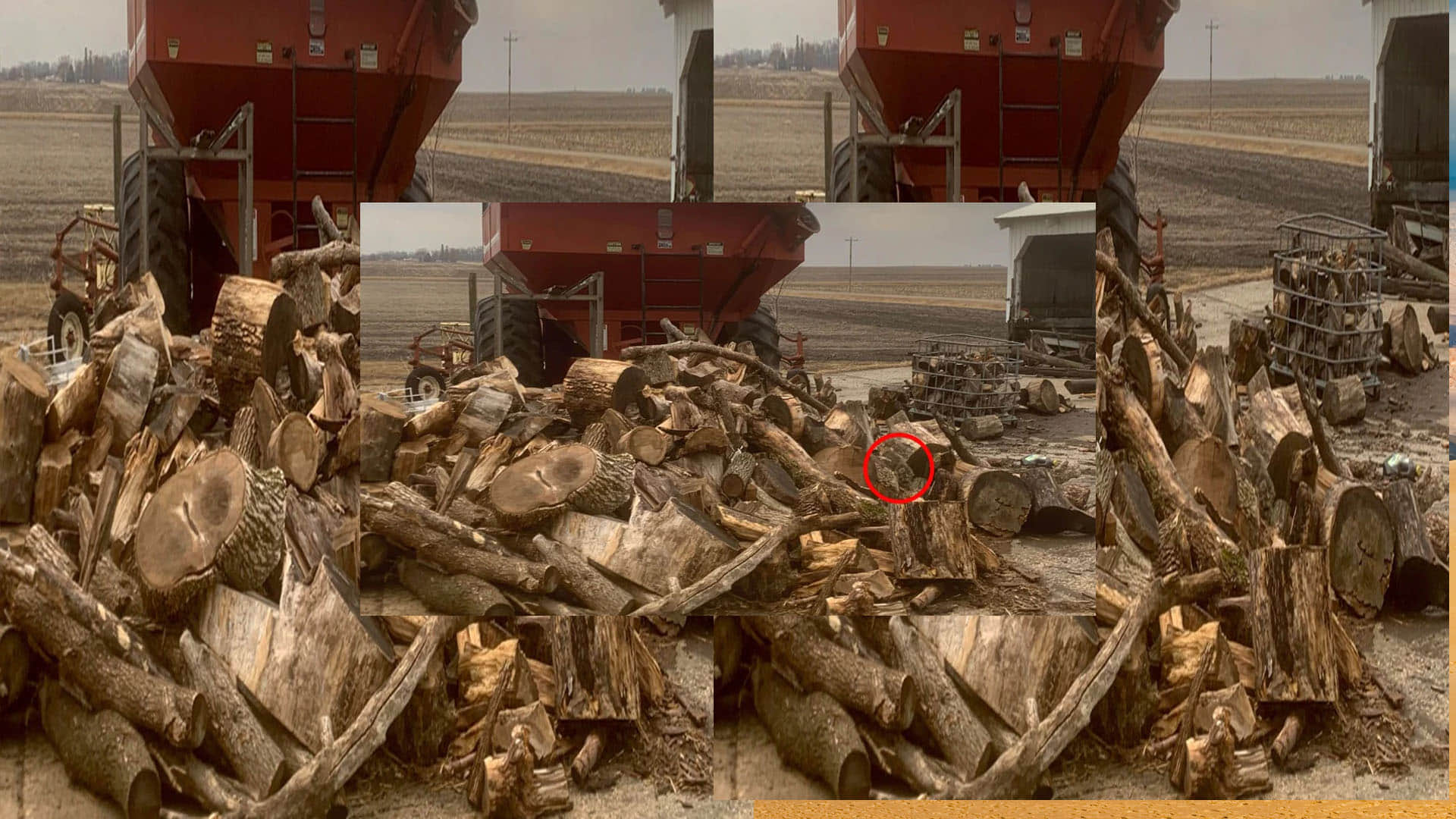 Optical Illusion Quiz With Answers Find Out Hidden Sitting Cat From Images Check Your Brain IQ