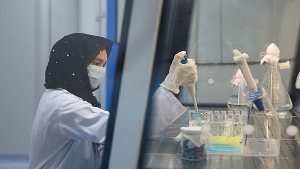 Israel scientists grow World first synthetic embryo through stem cells