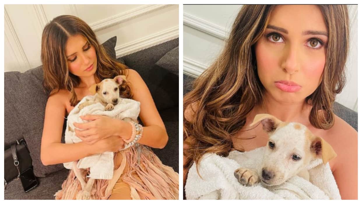 Tara Sutaria share photos with her pet on Friendship Day says ones who give us unconditional love