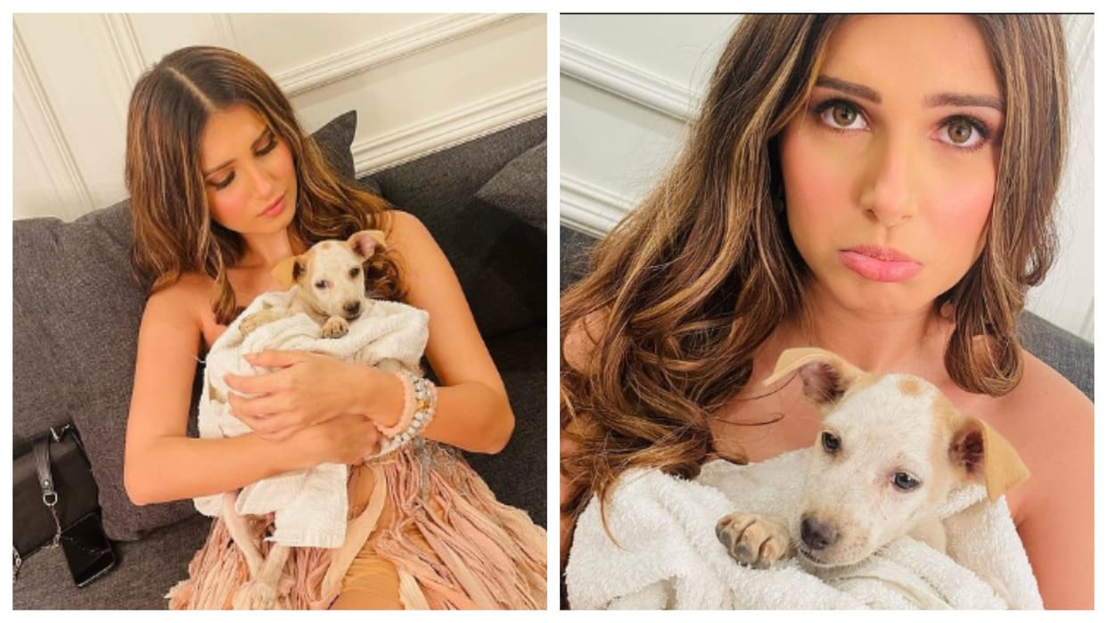 Tara Sutaria share photos with her pet on Friendship Day says ones who give us unconditional love