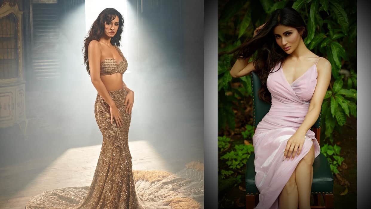 mouni roy bold photoshoot in jungle and disha patani sizzling look today celebrity update in 10 pictures
