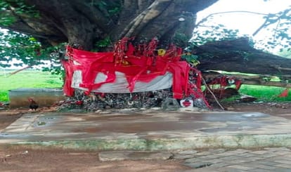 Strange hundreds years old tree is haunt of ghosts people do such worship to save life