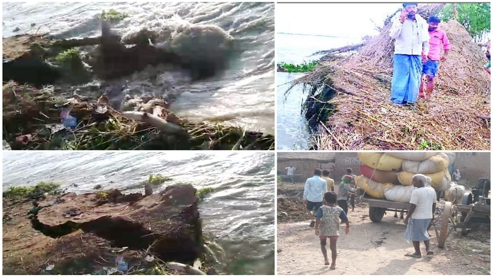 Ganga flood in Kasganj villagers start safety precaution alert