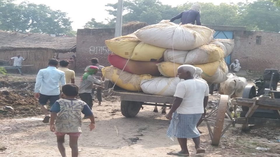 Ganga flood in Kasganj villagers start safety precaution alert
