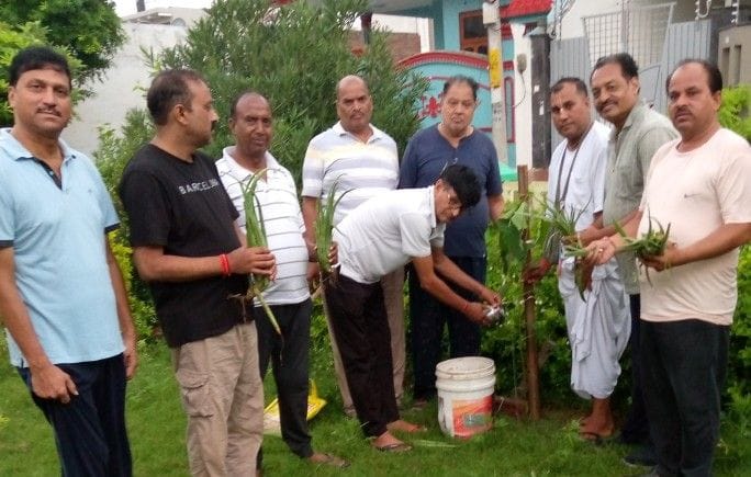 Hathras: Everyone should plant a plant with the tricolor