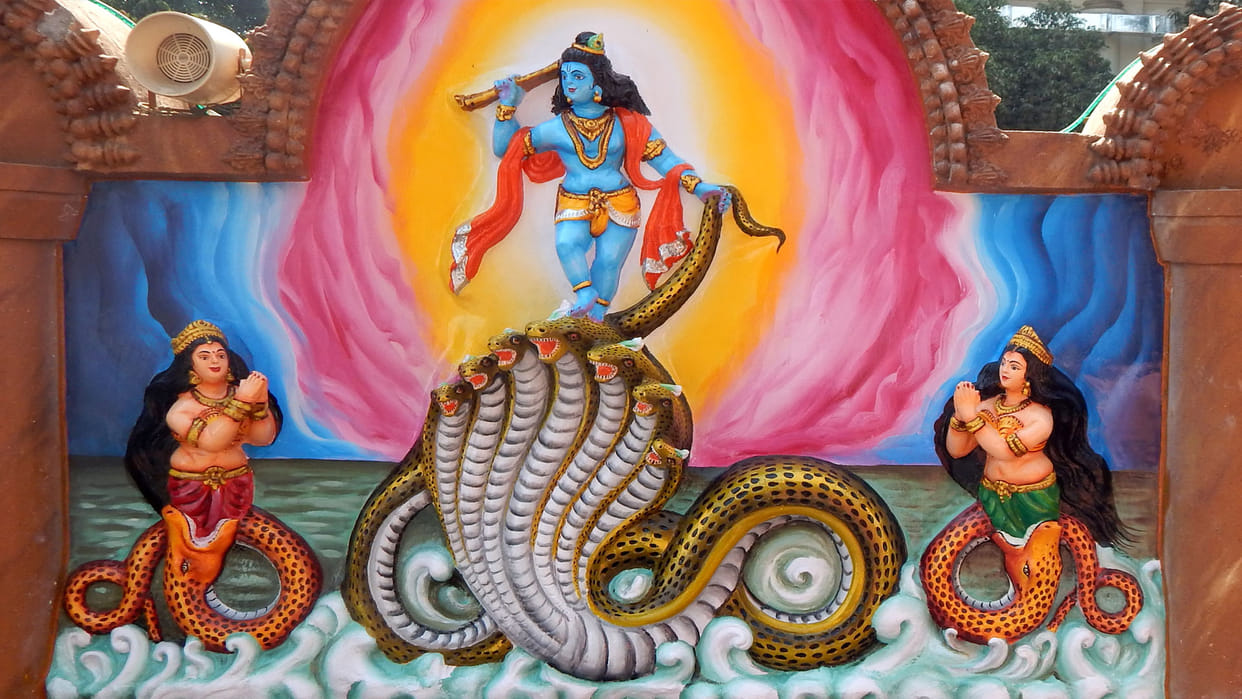 Janmashtami 2022 Know Interesting Facts About Kaliya Naag And Shri Krishna