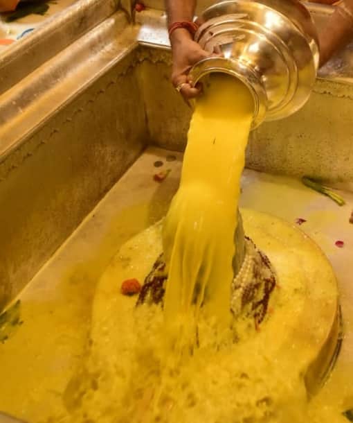 Devotees worship Lord Vishwanath on 4th Somwar of sawan