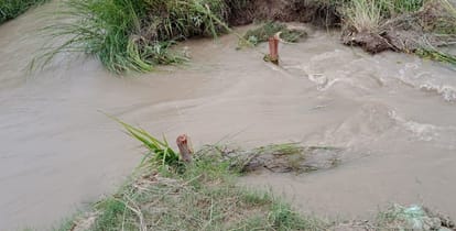 नहर में कटी खांदी। संवाद
