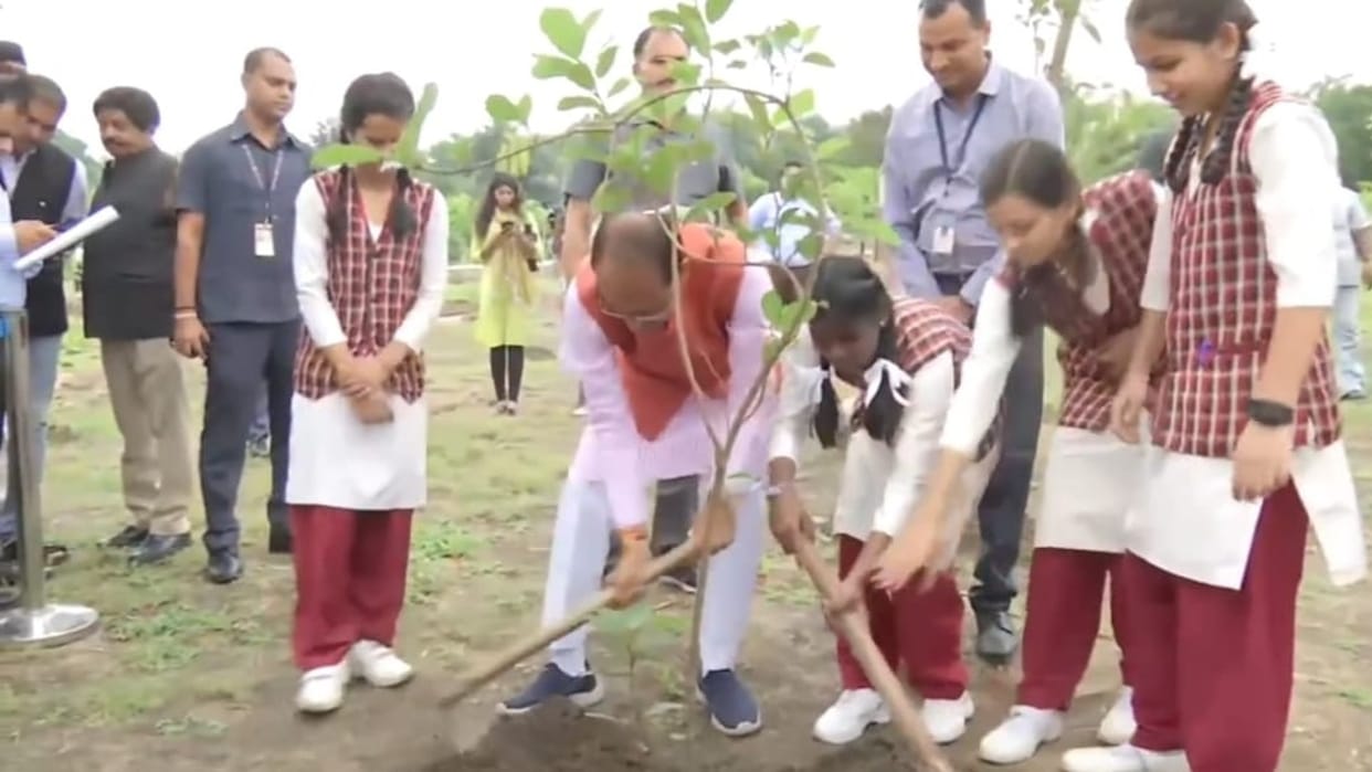 MP News: There will be a large scale plantation campaign in the state on February 19, CM will plant saplings a