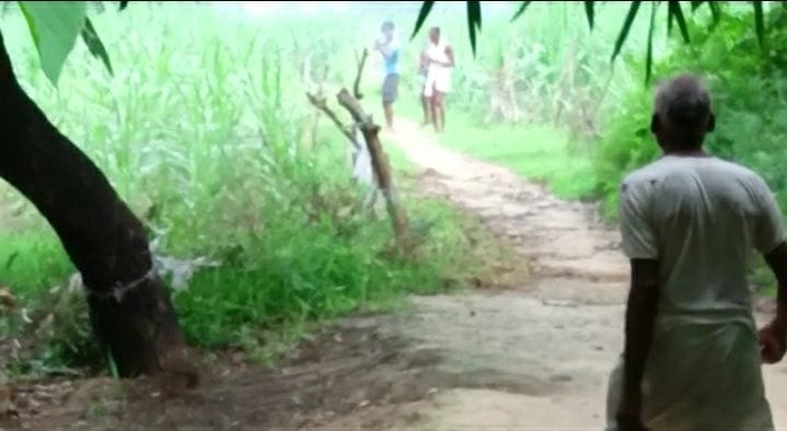 Firing in dispute over tree cutting, video viral