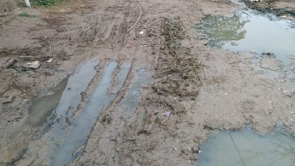 It is not easy to reach school, there is a river of mud on the way and you have to go crazy
