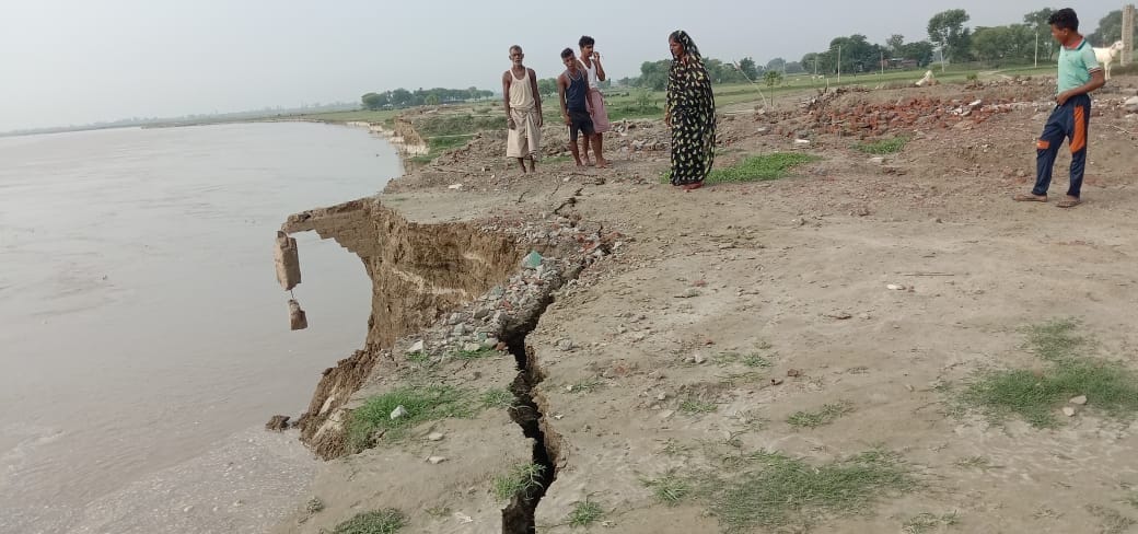 Harvesting intensified in Gopalnagar toddy, houses started deteriorating