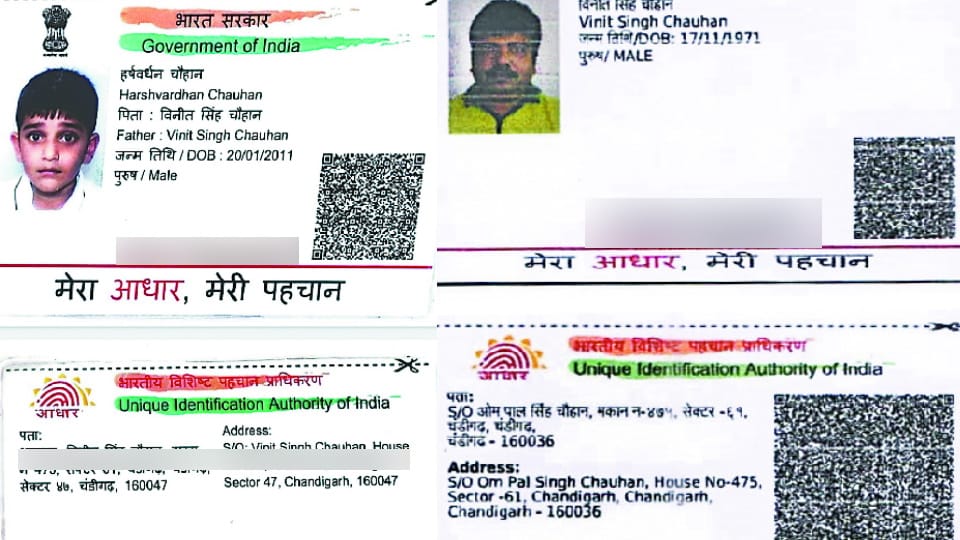 West UP ahead in Aadhaar verification of old age pension, Aadhaar authentication of 53.15 lakh completed