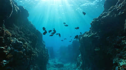 Scientists Discovered Deadly Pool At The Bottom Of Red Sea Know Details In Hindi