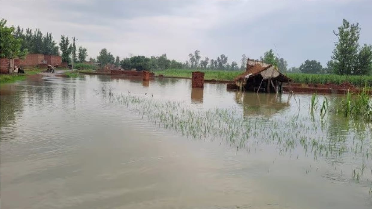Ganga water level Increased crops on verge of ruin due to waterlogging