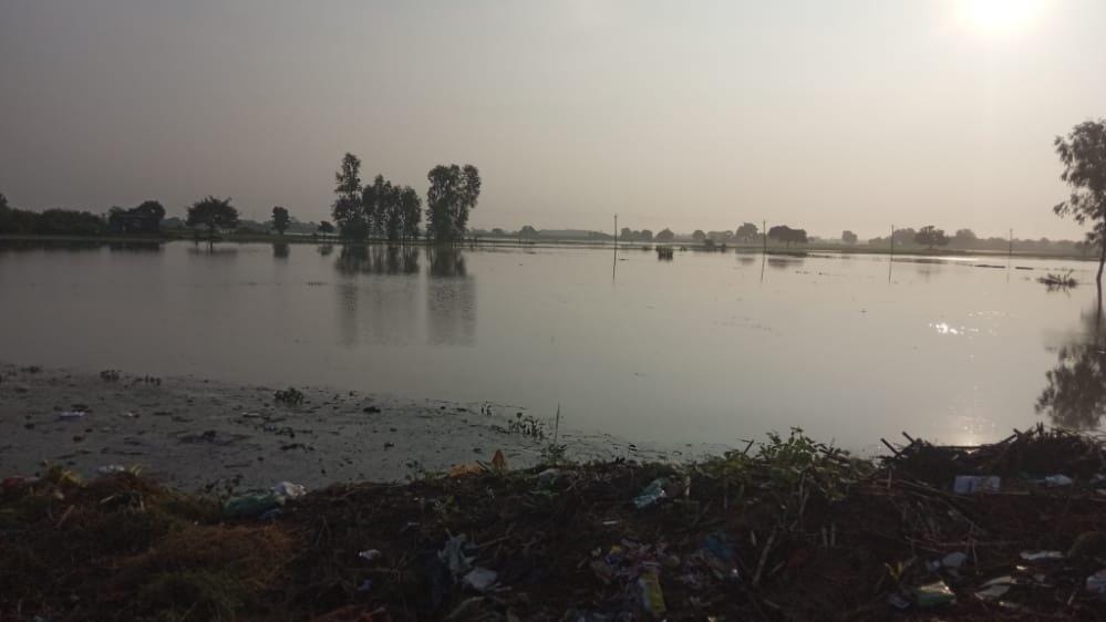 300 acres of crop submerged in rain, farmers worried