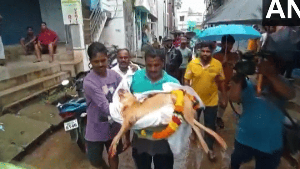 Odisha family bid a tearful goodbye to their pet dog, performed last rites as per traditional rituals