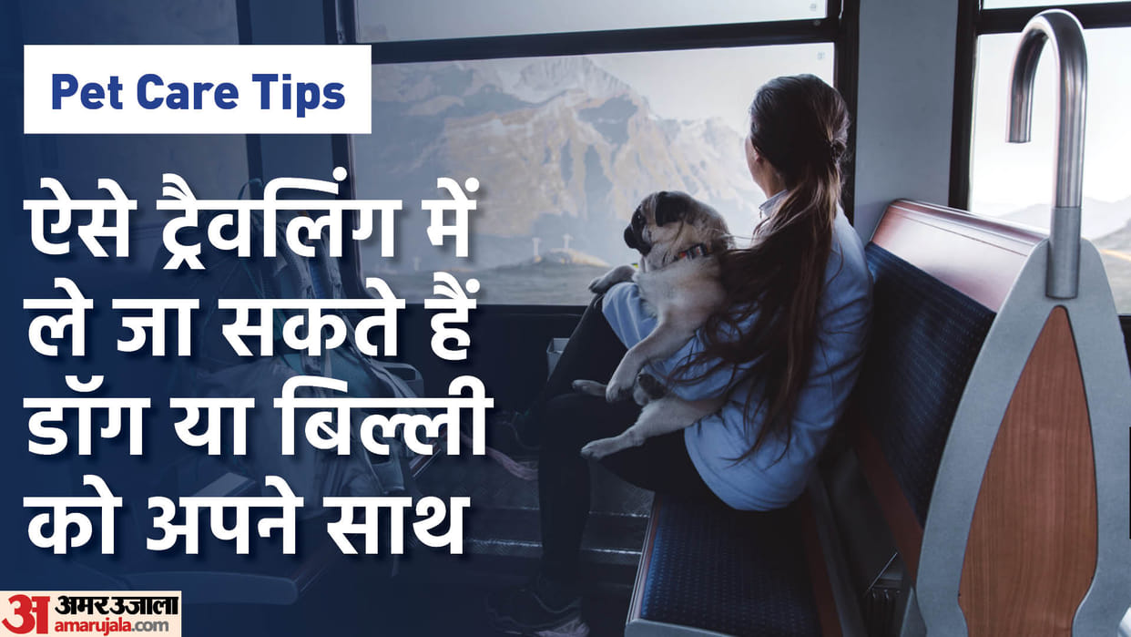 How to Travel With Pets from Train to Flight Know Here