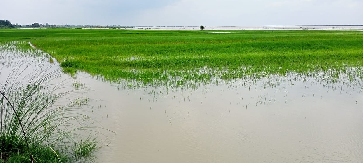 Increased danger on MBD dam in sant kabir nagar