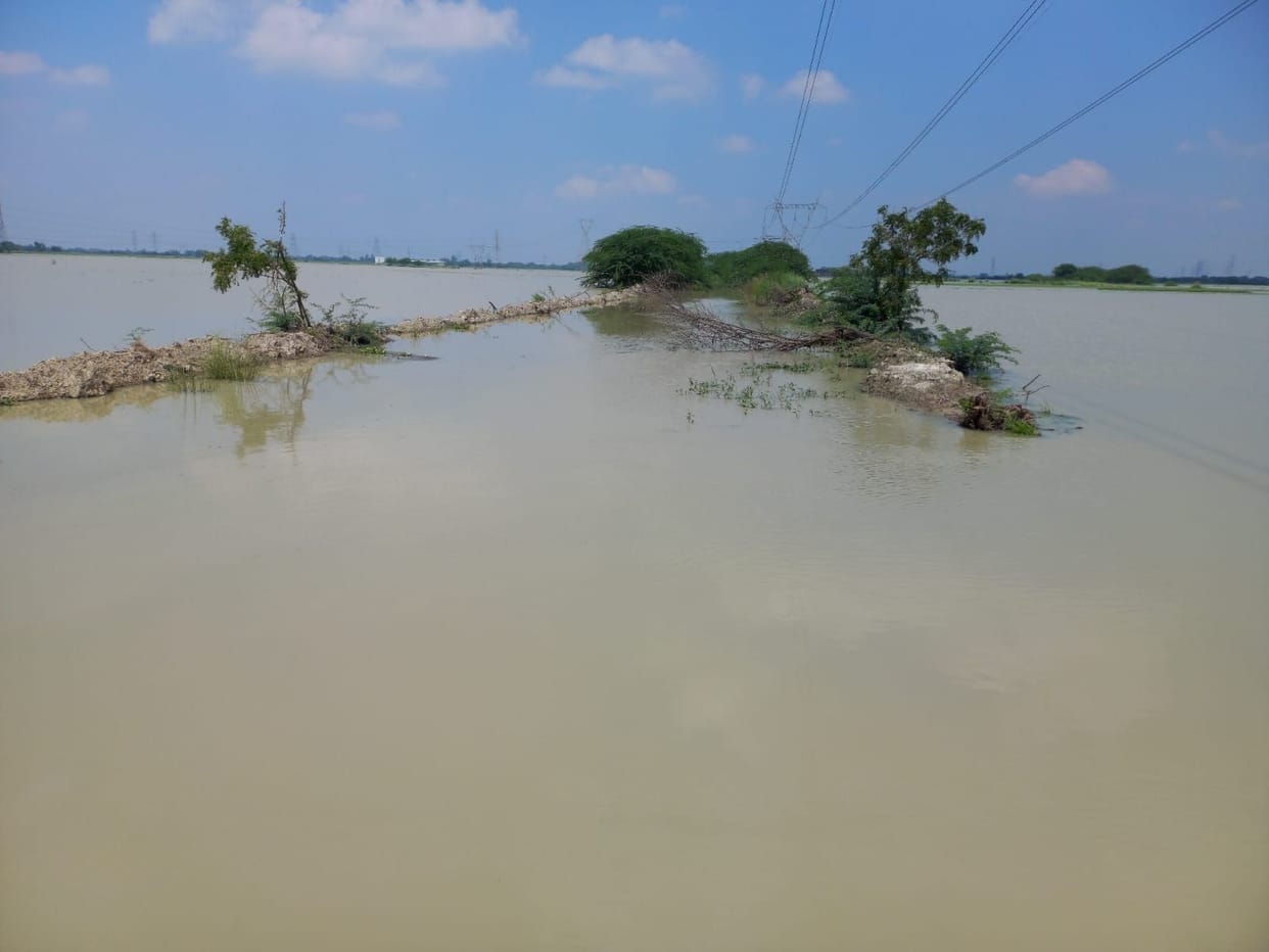 fice field drowned