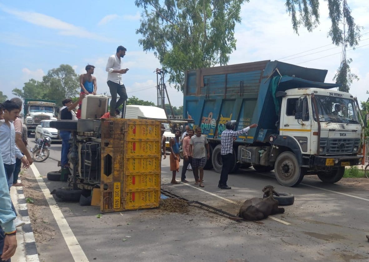 A pickup filled with animals overturned due to tire burst on the highway