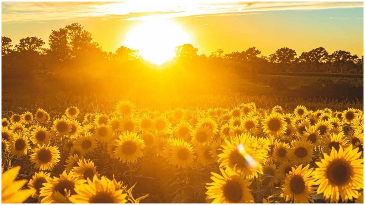 hottest july recorded in history on the world