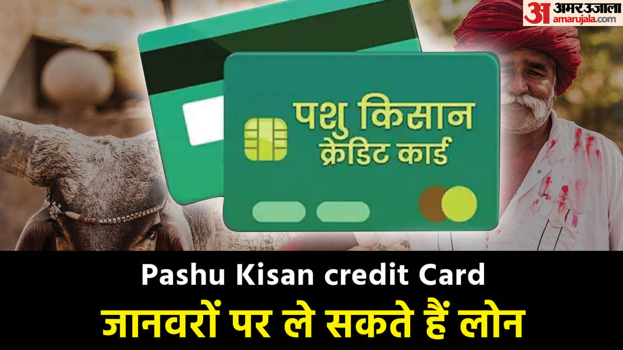 Govt Subsidy on Cattle Farming Farmers get 1.5 Lakh Rupees under Pashu Kisan Credit Yojana Know How to Apply
