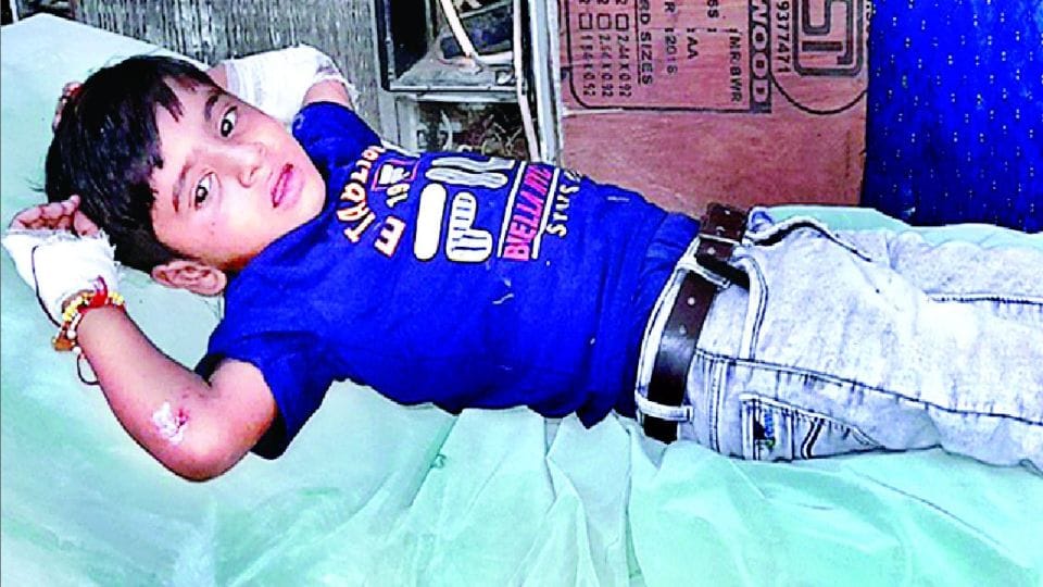 woman dies after bike collided with bull in firozabad
