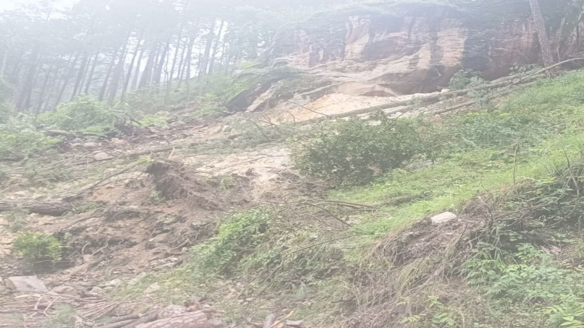 Clouds burst in Himachal's Ani-Chamba, Nani-Dohti killed in Kullu, five injured in Rohru due to debris