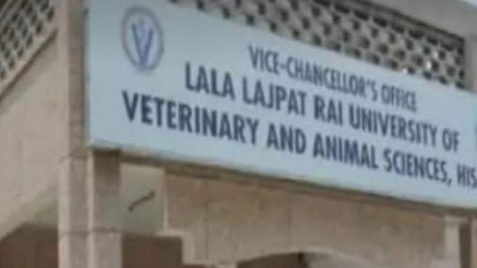 Lumpy skin disease investigation may start in Hisar Lala Lajpat Rai University of Veterinary