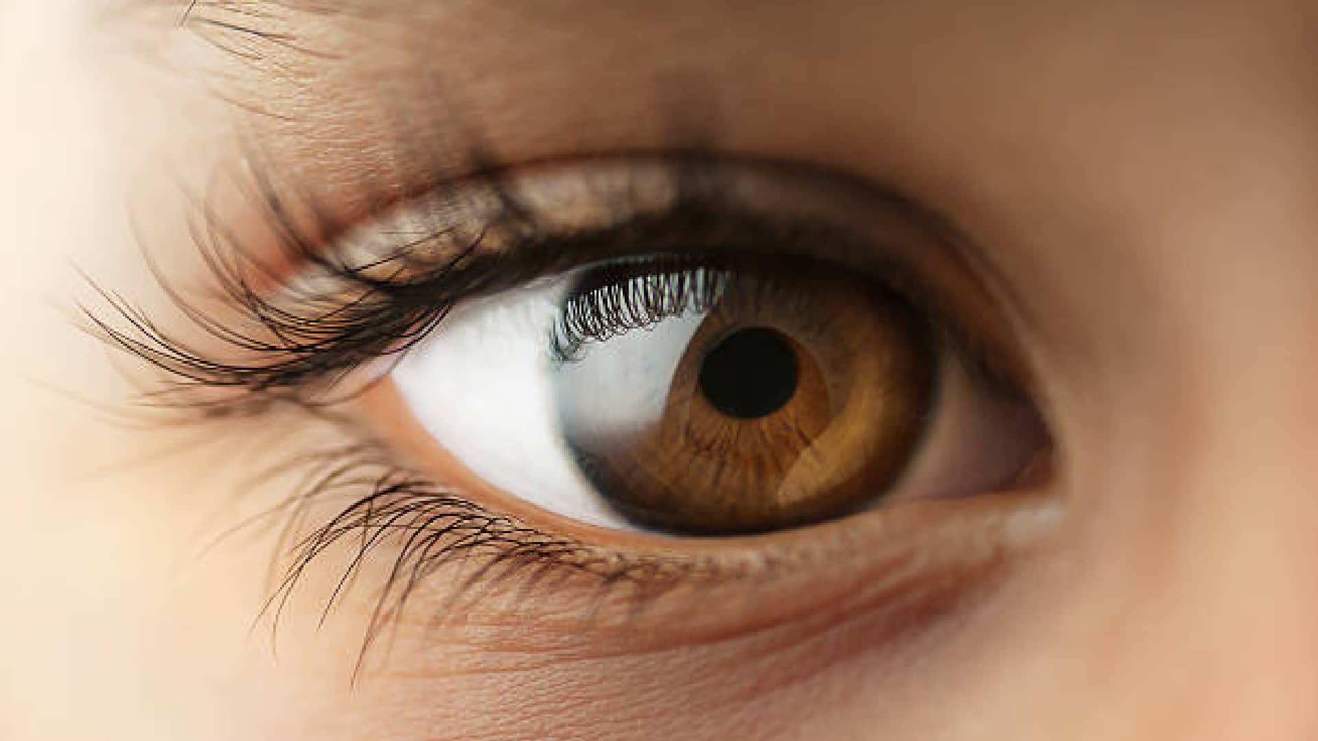 How Many Megapixels Have Human Eye Know Interesting Facts in Hindi