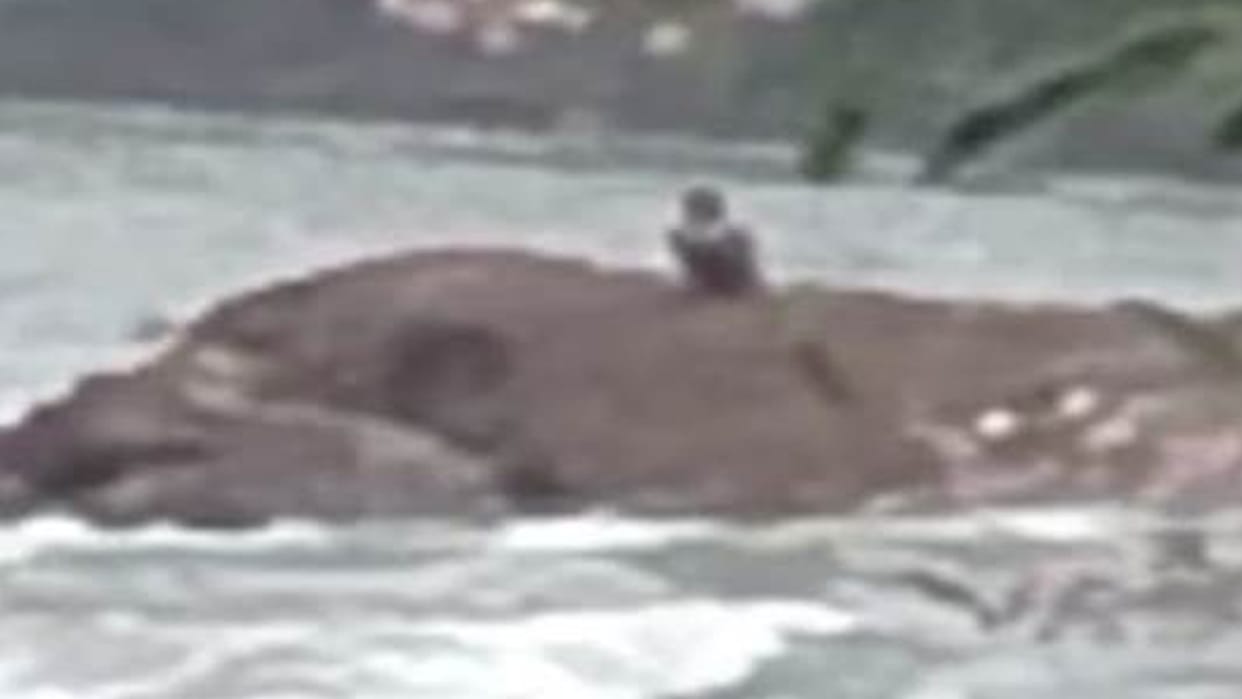 MP News: Encroachment not removed from the banks of Kaliyasot river within the time limit, 15 have to submit r