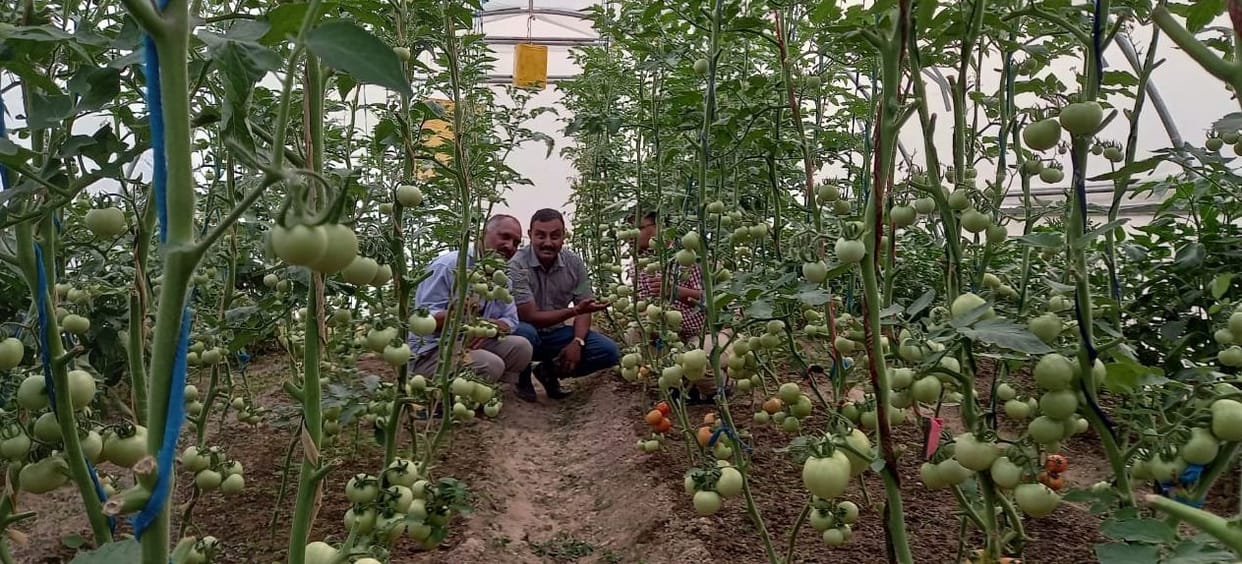 KVK Milestone In New Agri Techniques