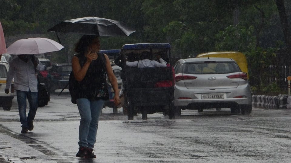 delhi weather forecast in next 24 hours partly cloudy with wind speed of 30 to 40 kilometers per hour