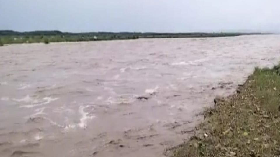 Meerut News : Yamuna floods due to rain on mountains