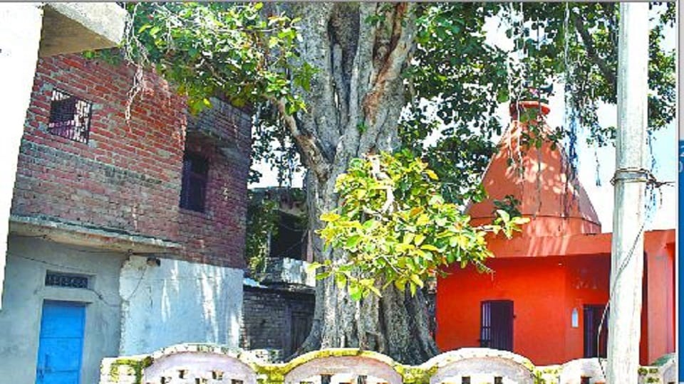 villagers of village Narauli take pride in being the village of freedom fighters Kasganj
