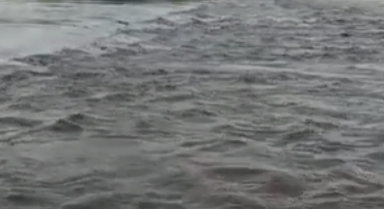 rivers in flow of water due to rain, one dead in Udaipur