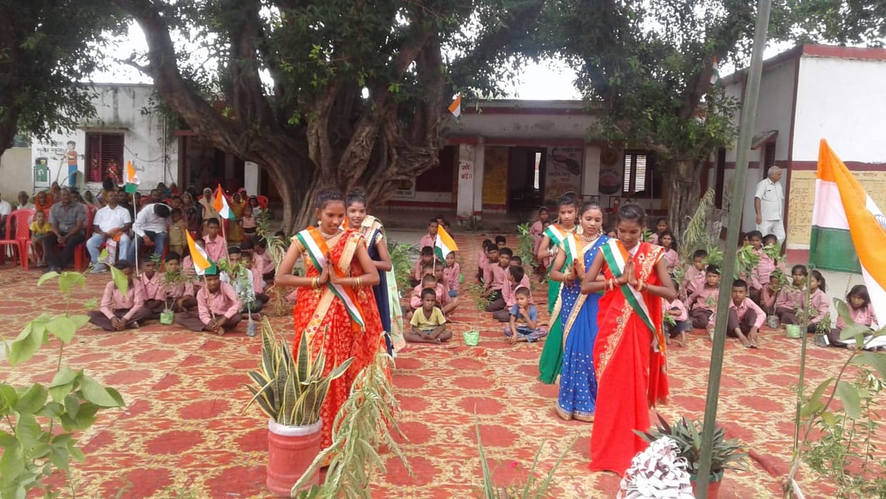 Fruit trees were distributed to the students