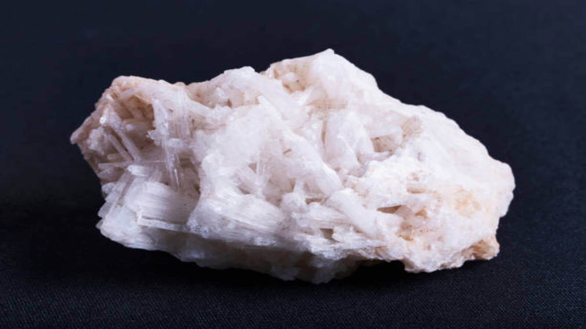 safed moonga white coral stone benefits in hindi