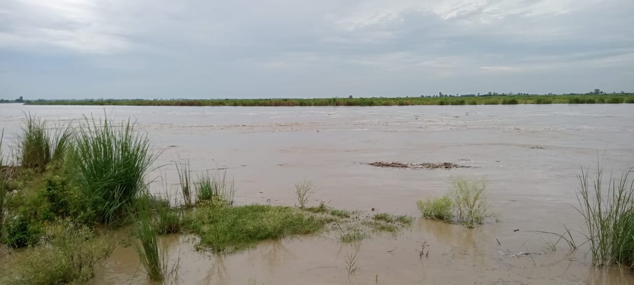 Yamuna's water level increased, villagers were alerted