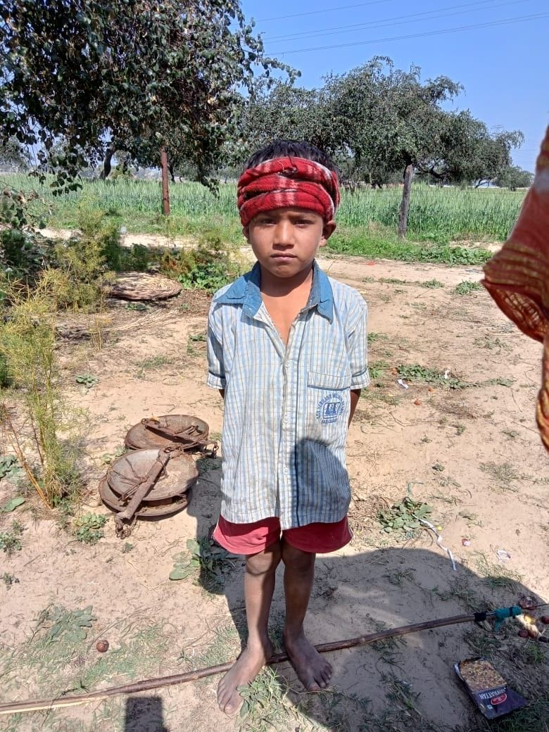 Bee Attack : Eight year old child dies due to bee attack in Hathras