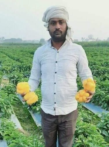 Youth made a mark in art and farming