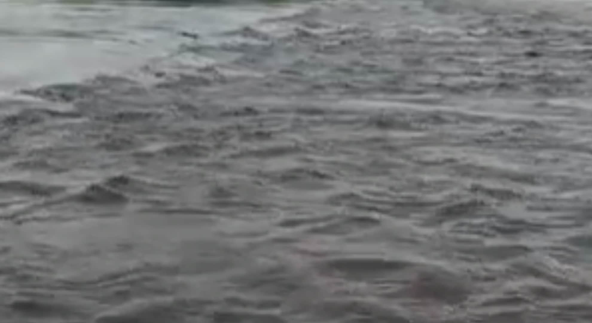 Beneshwar dham turned into an island due to heavy rain for the last four days