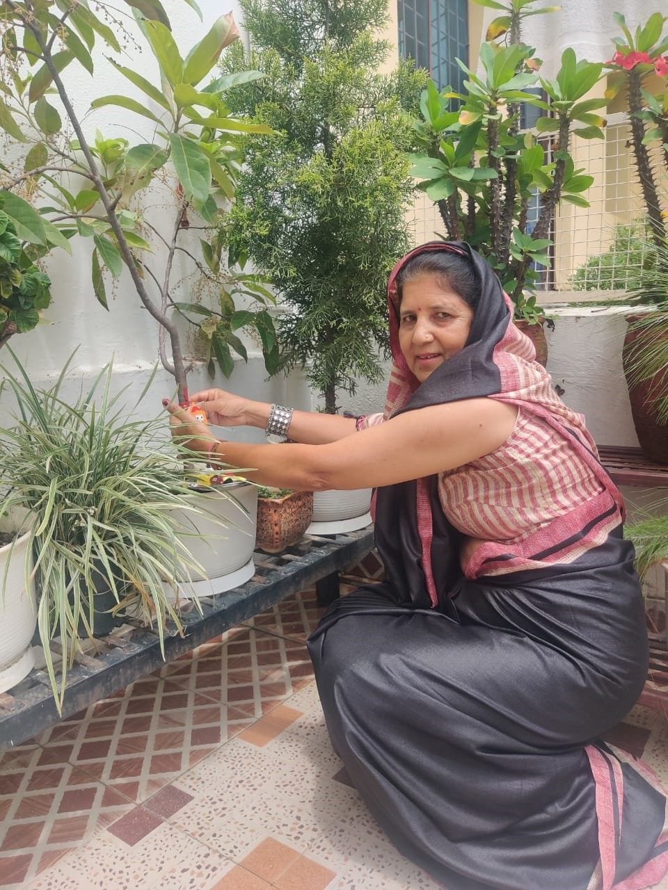 Harela was celebrated by tying Rakhi to trees and plants