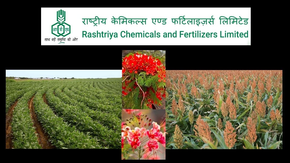 RCFL Mumbai Apprentice Recruitment 2022 Apply for 395 Posts Sarkari Naukri