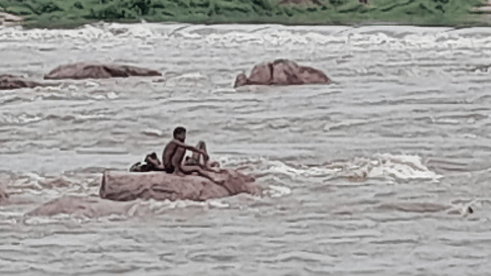 Woman Miraculously Rescued From Betwa River In Vidisha District of Madhya Pradesh