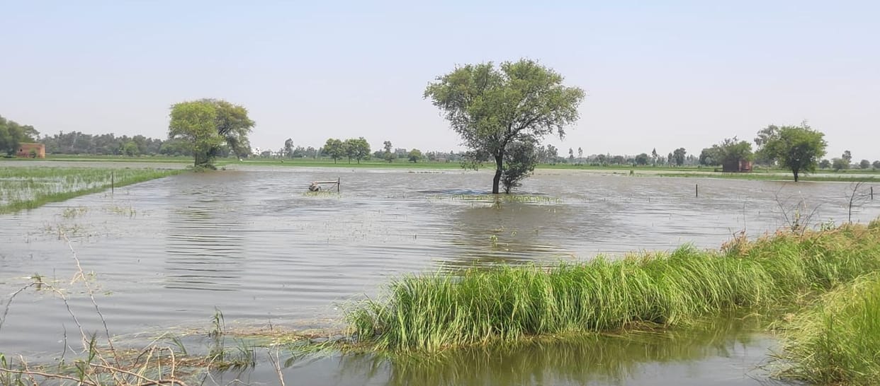 bhiwani news