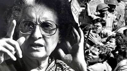 election 2024: Rae Bareli Lok Sabha seat history and profile