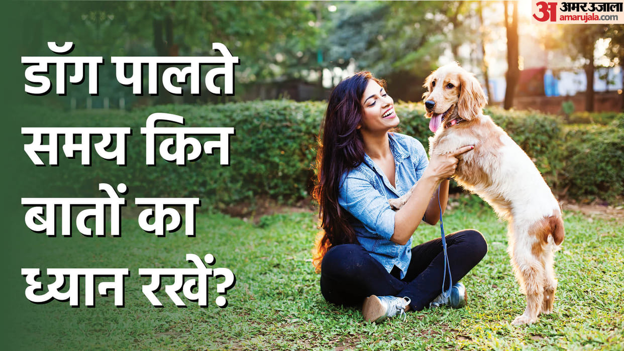 Rules for Dog Owners in India Know Rules for Keeping Pet Dogs at Home Full Details